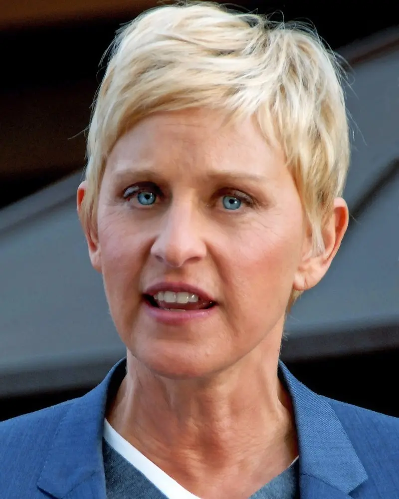 Image: Toglenn (2011) Ellen DeGeneres