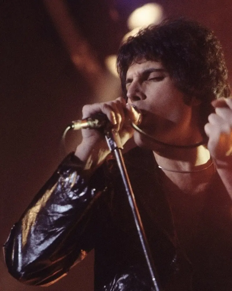 Image: Carl Lender (1977) Freddie Mercury
