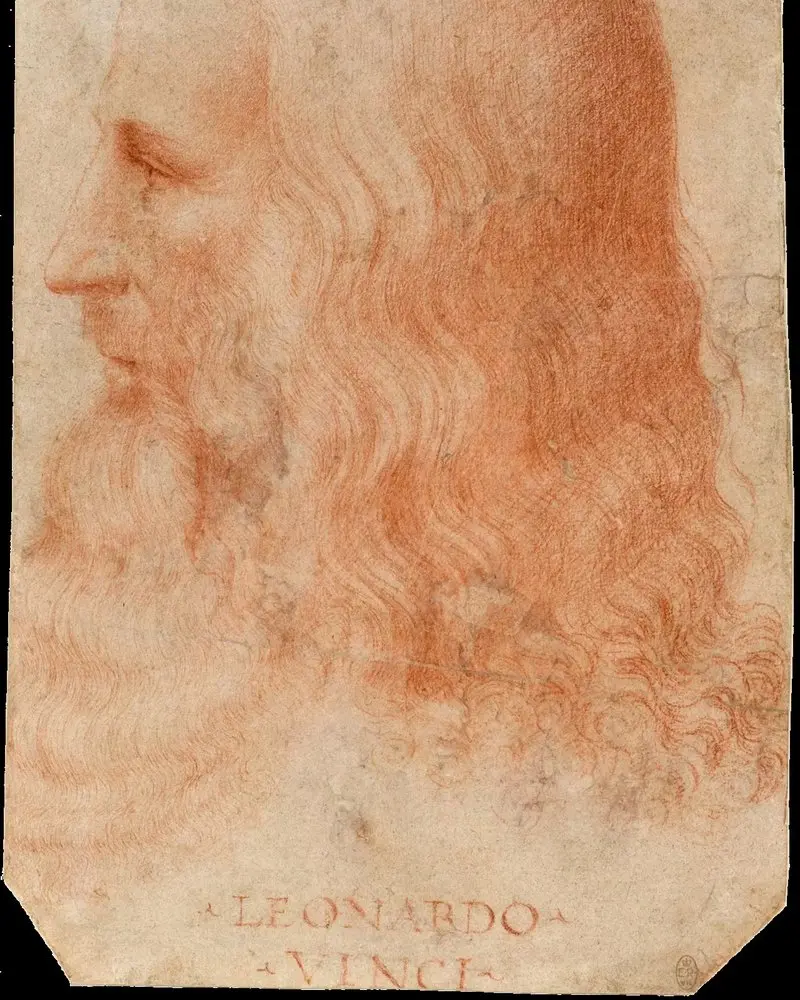 Image: Attributed to Francesco Melzi (c. 1515–17) Leonardo da Vinci